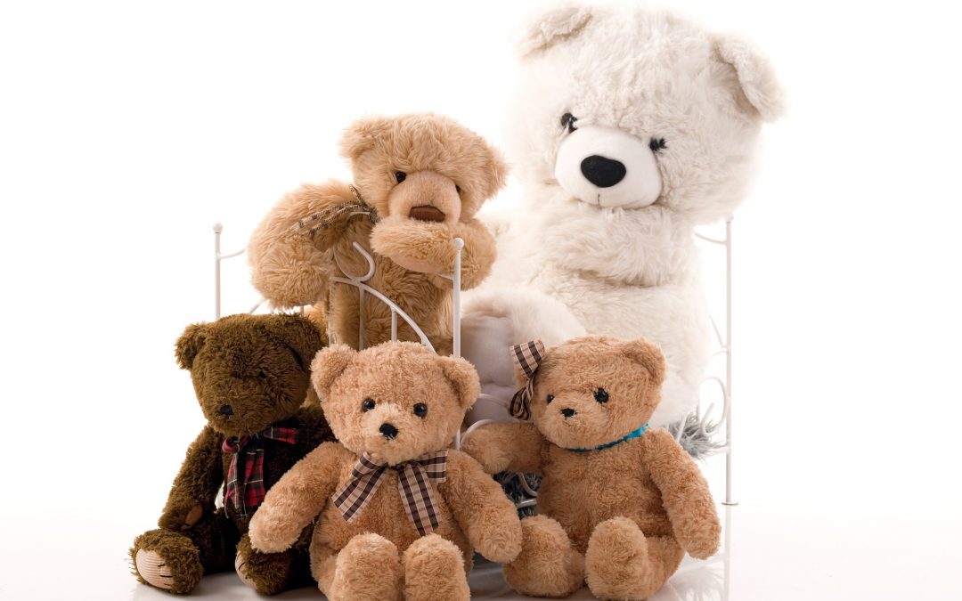 Charity Teddy Stall – Saturday 21 September